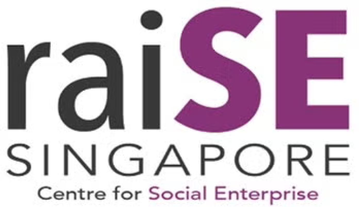 raiSE logo