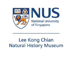 NUS Lee Kong Chian Natural History Museum logo