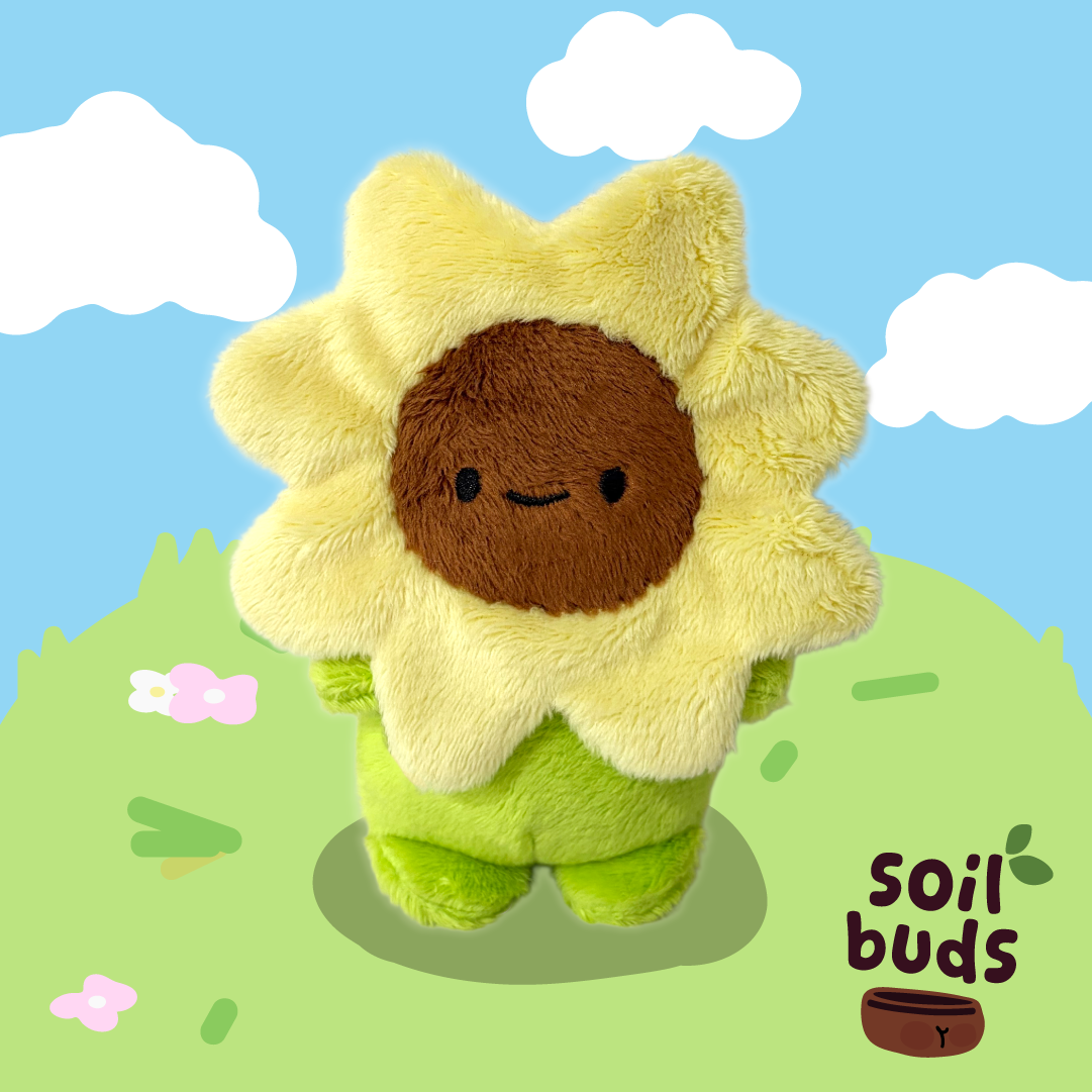Sunsun In A Pot